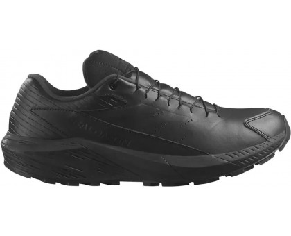 Чоловічі кросівки Salomon Sense Ride 5 SR Leather Black