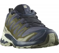 Кросівки Salomon Outdoor XA PRO 3D V9 India Ink/Olive Night/Aloe Wash