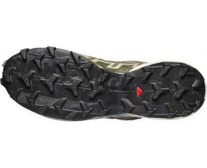 Кросівки Salomon Speedcross 6 GTX Aloe/Aspargusgreen для трейлінгу, хайкінгу та EDC
