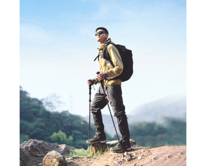 Трекінгові палиці Naturehike CNK2450DS013 115-135 см (комплект 2 шт.), чорні