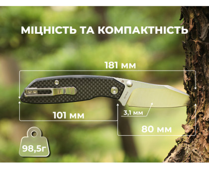 Ніж складаний туристичний Ruike P746-CB (8 см) 14C28N / G10 чорний