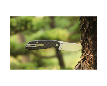 Ніж складаний туристичний Ruike P746-CB (8 см) 14C28N / G10 чорний