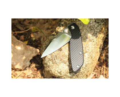 Ніж складаний туристичний Ruike P746-CB (8 см) 14C28N / G10 чорний