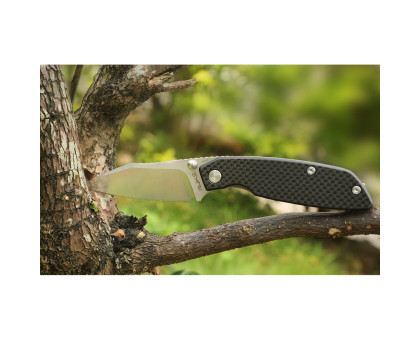 Ніж складаний туристичний Ruike P746-CB (8 см) 14C28N / G10 чорний