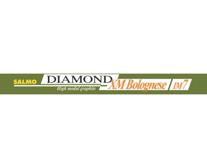 Поплавочне вудилище Salmo Diamond Xm Bolognese 400 (з кільцями)