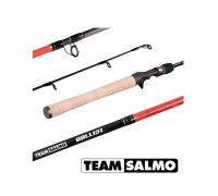 Спінінг Team Salmo Ballist TSBA3-591F (1.80m, 7-28gr)