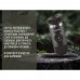 Портативна еспресо-кавоварка Wacaco Nanopresso Grey