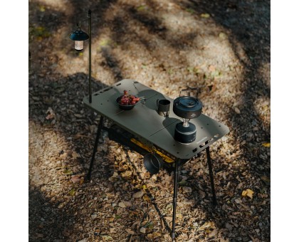 Легкий складаний стіл Naturehike CNK2450JJ025 80х40 см алюміній оливковий