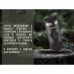 Портативна еспресо-кавоварка Wacaco Nanopresso+ з адаптером для капсули