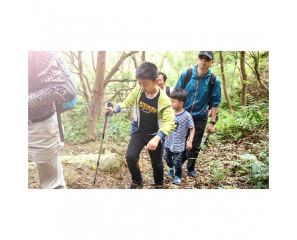 Трекінгова палиця Naturehike Women 3-сек. алюміній золотиста, 57-120 см