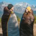 Теплий спальник Naturehike Snowbird з натуральним пухом 400г, L