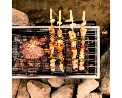 Гриль портативний Naturehike Picnic BBQ Grill NH20CJ006, р-р L, сталь