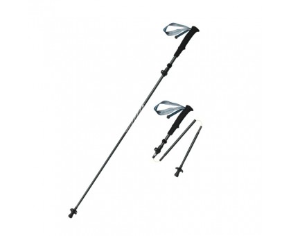 Трекінгова палиця Naturehike CNK2450DS012, 103-120 см, синя