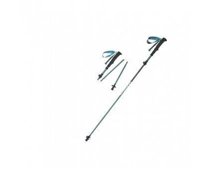 Трекінгова палиця Naturehike CNK2450DS012: зелена, 103-120 см