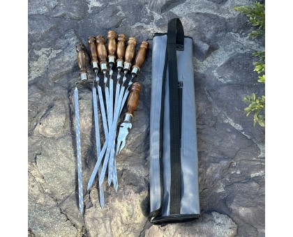 Набір шампурів Арго: 6+1+1 з дерев'яними ручками, сірий чохол