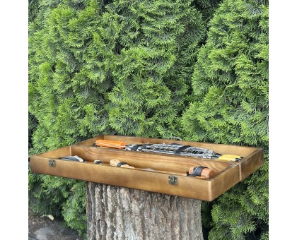 Подарунковий набір Майстер BBQ темний: Шампури з дуба в дерев'яному кейсі