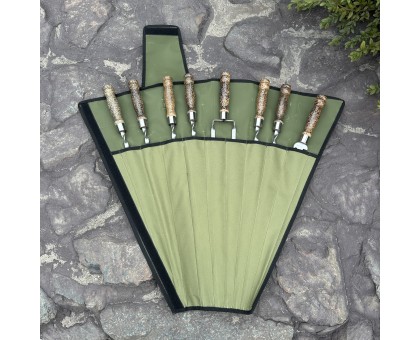 Набір для шашлику Ліра 6+1+1: дерев'яні ручки, зелений чохол