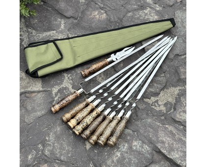 Набір для шашлику Ліра 6+1+1: дерев'яні ручки, зелений чохол