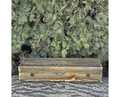 Подарунковий набір Майстер BBQ: Шампури, ніж, тесак у кейсі