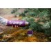 Термос TRAMP Expedition Line 0,9 л UTRC-027 purple: купити для походів та подорожей