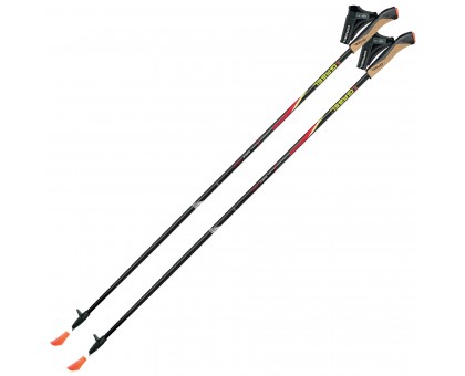 Палиці для скандинавської ходьби Gabel FX-75 Snake Carbon 120 (7008351011200)