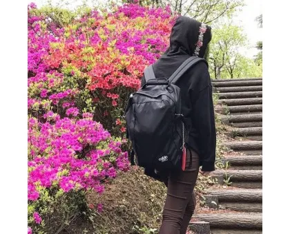 Сумка-рюкзак CabinZero Classic 44L Absolute Black