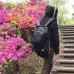 Сумка-рюкзак CabinZero Classic 44L Absolute Black