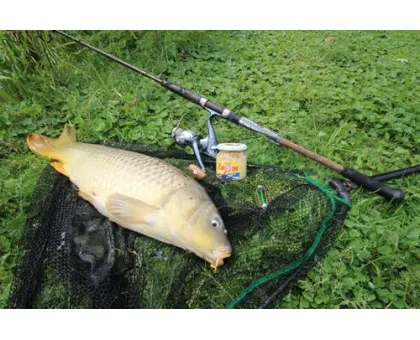 Кукурудза преміум-класу Carp Zoom Premium Maize Salty Corn (солона кукурудза)