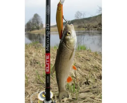Спінінг Salmo Elite Micro Jig 10 (2.32m, 2-10gr) Спінінг Salmo Elite Micro Jig 10 (2.32m, 2-10gr)