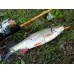 Спінінг Favorite Balance BLC-662UL (2.01м 2-7гр M-Fast)