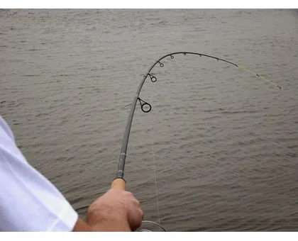 Спінінг Dragon Fishmaker Jig 2.75m 4-21g Спінінг Dragon Fishmaker Jig 2.75m 4-21g