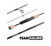 Спінінг Team Salmo Powder TSPO2-652M (1.98m, 2-8gr)