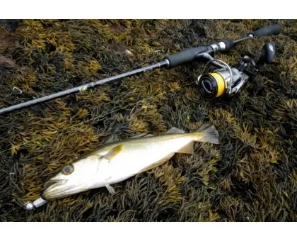 Спінінг Shimano Diaflash AX 225 L (225cm 2-10g) Спінінг Shimano Diaflash AX 225 L (225cm 2-10g)
