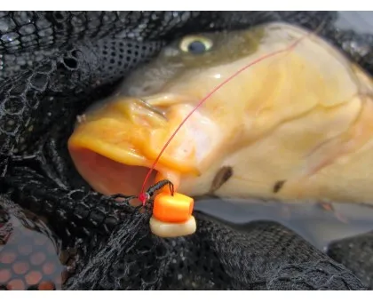 Кукурудза Carp Zoom Sweet Angler's Maize Anise (аніс) Кукурудза Carp Zoom Sweet Angler's Maize Anise (аніс)