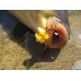 Кукурудза Carp Zoom Sweet Angler's Maize Anise (аніс)