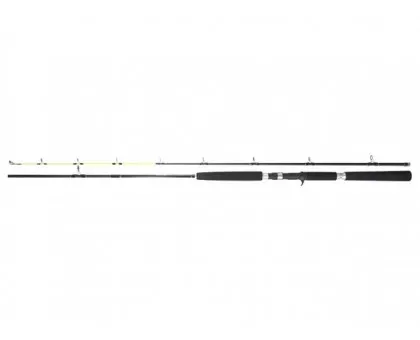 Спінінг Team Dragon Silver Edition Pilk Cast 2.50m 100-250g Спінінг Team Dragon Silver Edition Pilk Cast 2.50m 100-250g