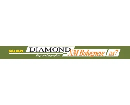 Поплавочне вудилище Salmo Diamond Xm Bolognese 400 (з кільцями) Поплавочне вудилище Salmo Diamond Xm Bolognese 400 (з кільцями)