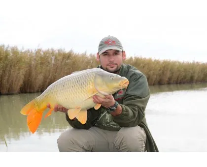 Прикормка Carp Fiesta Fish Mix, рибна суміш