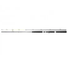 Спінінг Team Dragon Silver Edition Pilk Cast 2.50m 120-300g