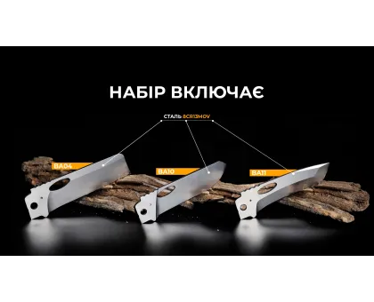 Набір змінних клинків Roxon (BA04; BA10; BA11) 3in1 для S501U, S502U, S802 Набір змінних клинків Roxon (BA04; BA10; BA11) 3in1 для S501U, S502U, S802