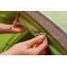 Намет Vango Tay 300 Treetops (TERTAY T15165)