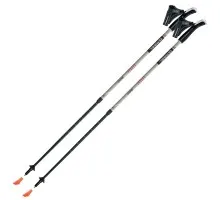 Палиці для скандинавської ходьби Gabel Stretch Ice (7008352630000)