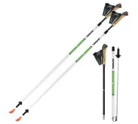 Палиці для скандинавської ходьби Gabel Nordic Revo Alu-Tech (7009351390000)