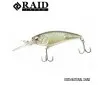 025 Natural Shad 