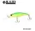 001 Lime Chart 